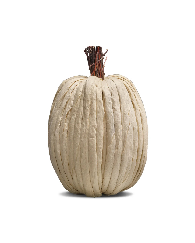 Calabaza de Papel Alta en Crema y Carbón - Imagen 3