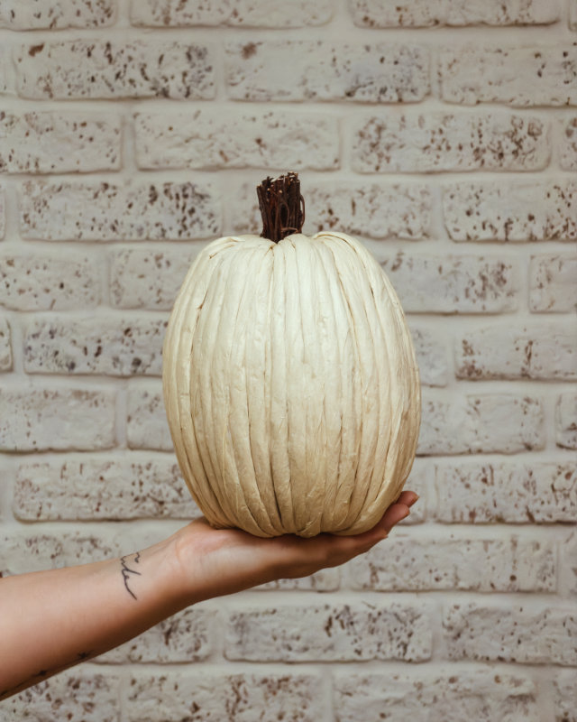 Calabaza de Papel Alta en Crema y Carbón - Imagen 5